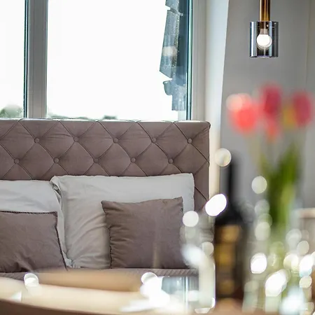 公寓 Premium Baltyckie 13 萨比诺瓦